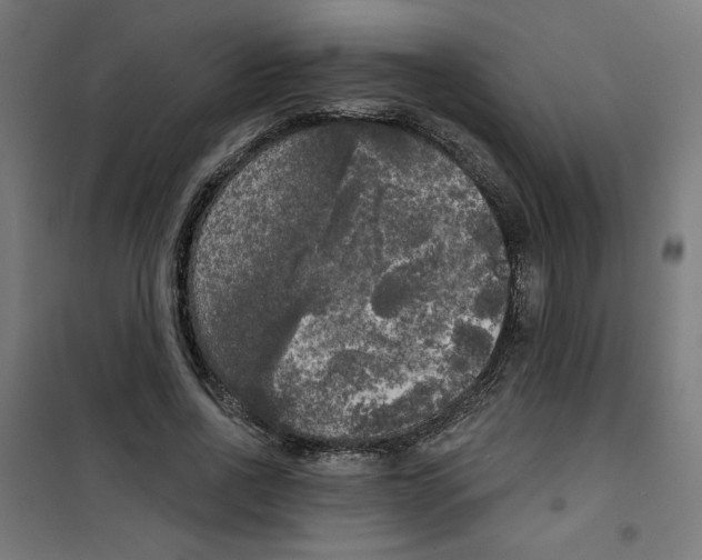 X0000100330734200807031234