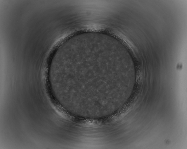 X0000100330736200807031234