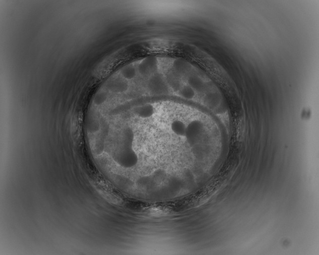 X0000100330737200807031234