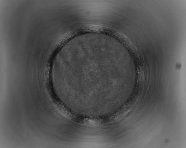 X0000100330739200807031234