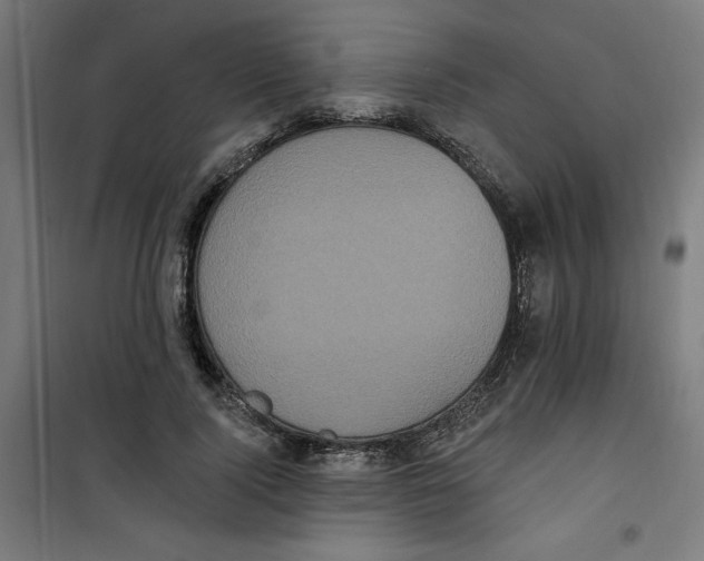 X0000100330740200807031234