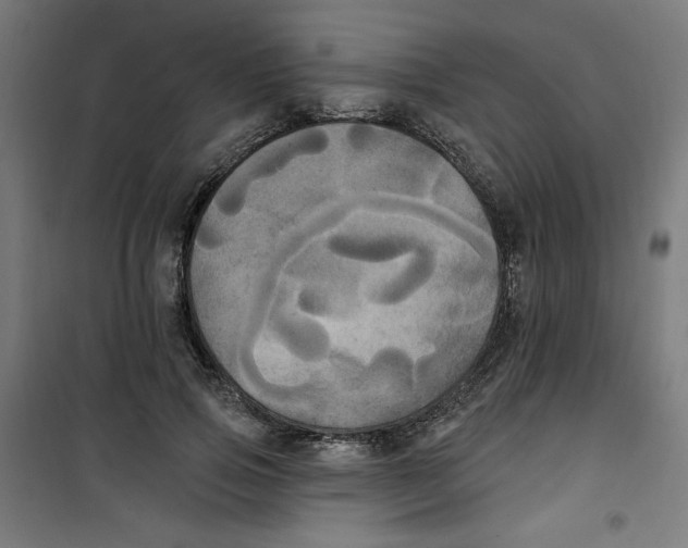 X0000100330741200807031234