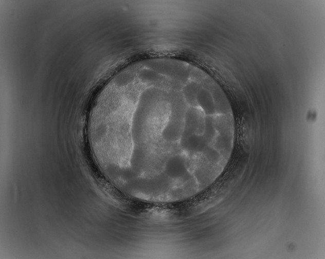 X0000100330742200807031234