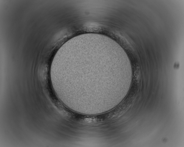 X0000100330744200807031234