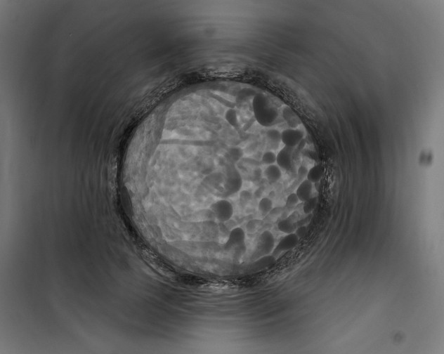 X0000100330745200807031234