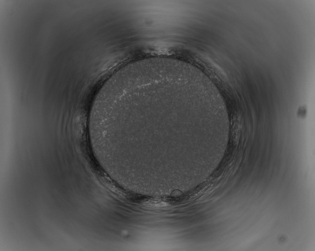 X0000100330747200807031234