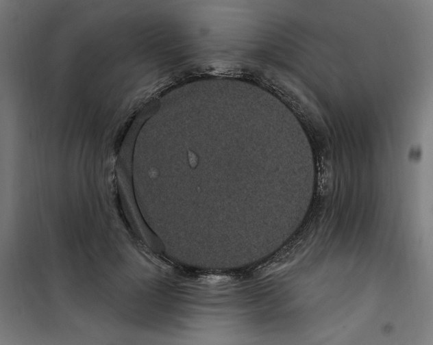 X0000100330748200807031234