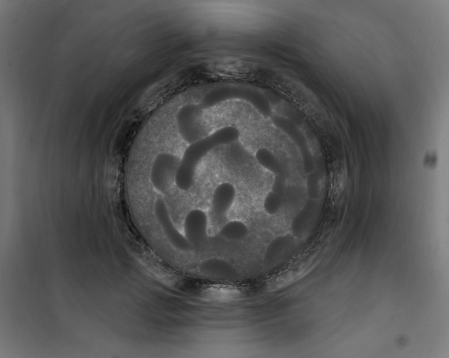 X0000100330749200807031234