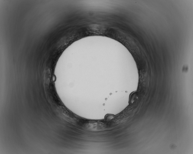 X0000100330752200807031234