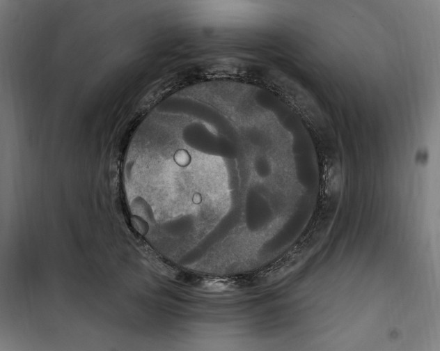 X0000100330753200807031234