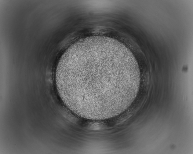 X0000100330755200807031234