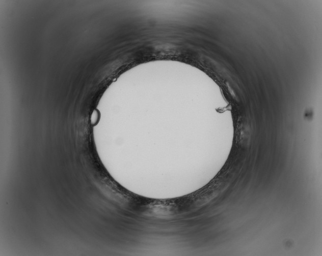 X0000100330756200807031234