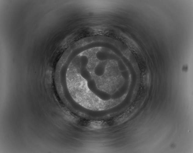 X0000100330757200807031234