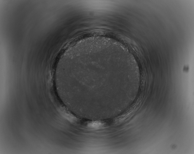 X0000100330759200807031235