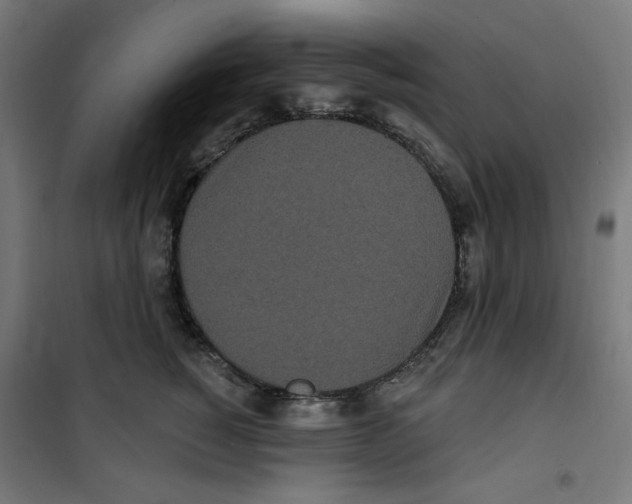 X0000100330760200807031235