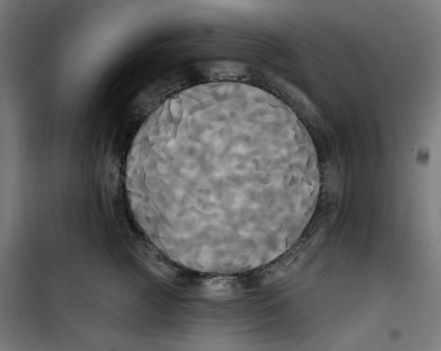 X0000100330761200807031235