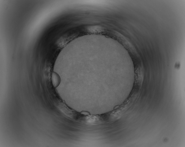 X0000100330762200807031235