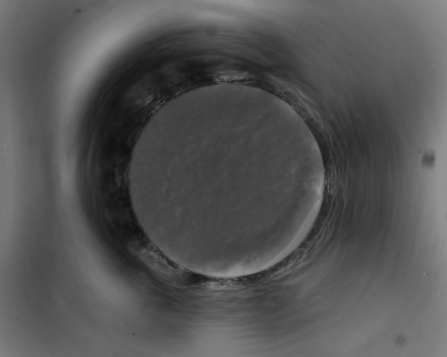 X0000100330763200807031235