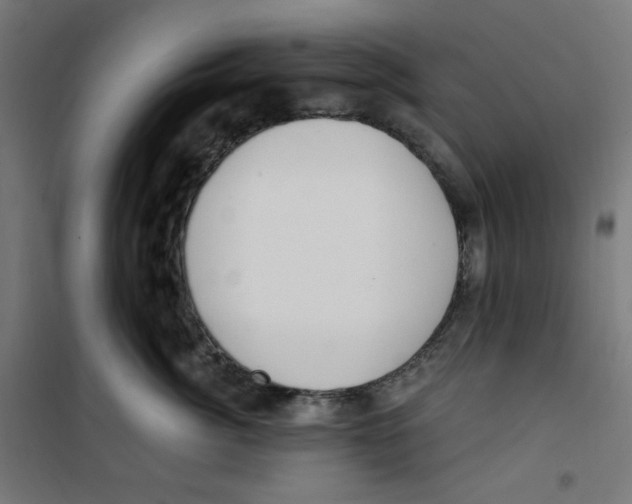 X0000100330764200807031235