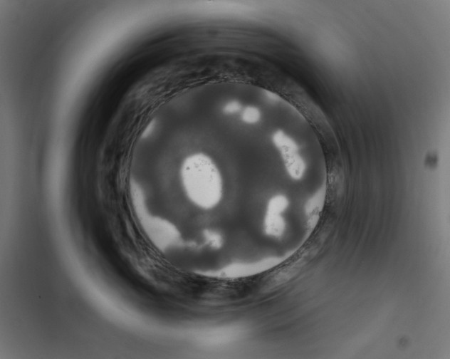 X0000100330765200807031235