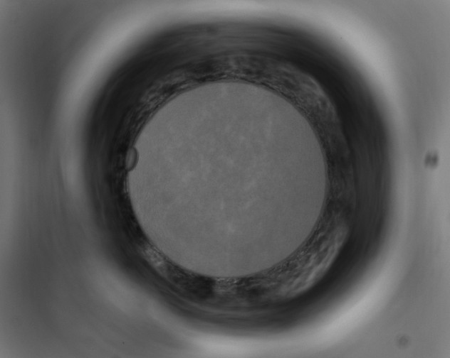 X0000100330766200807031235