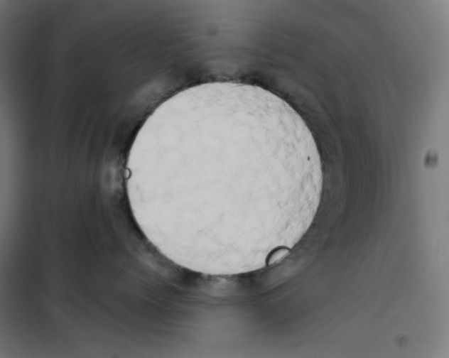 X0000100330768200807031235