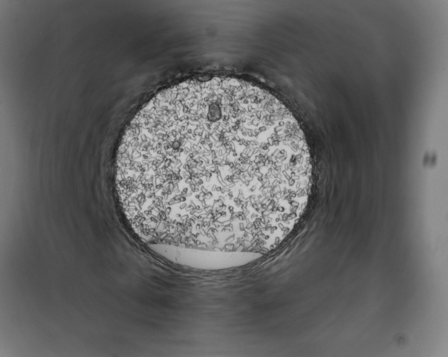 X0000100330769200807031234