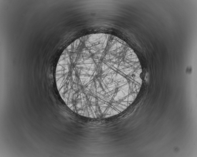 X0000100330771200807031234