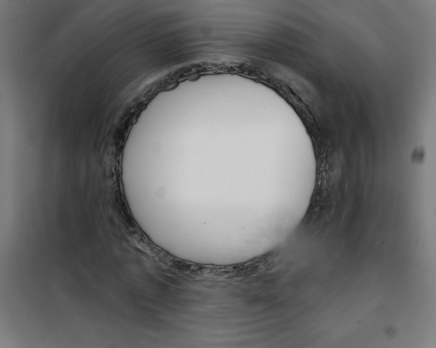 X0000100330773200807031234