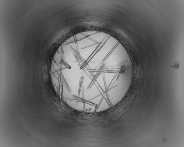 X0000100330774200807031234