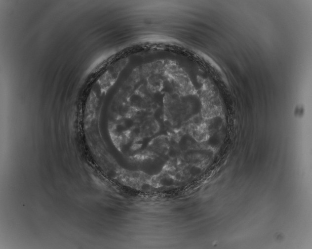 X0000100330775200807031234