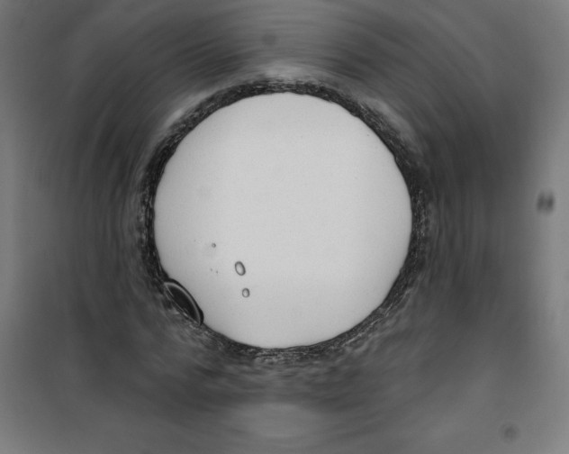 X0000100330776200807031234