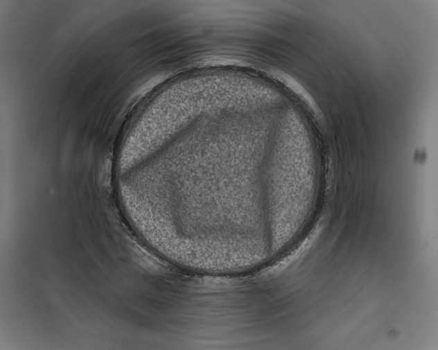 X0000100330777200807031234