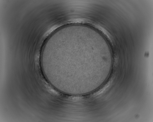 X0000100330778200807031234