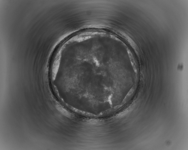 X0000100330779200807031234