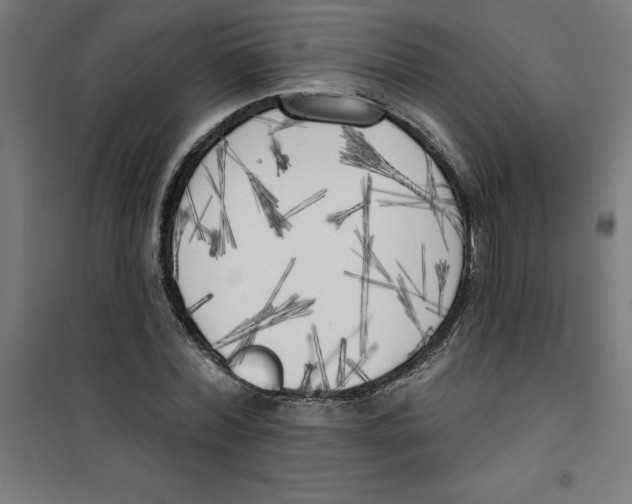 X0000100330780200807031234