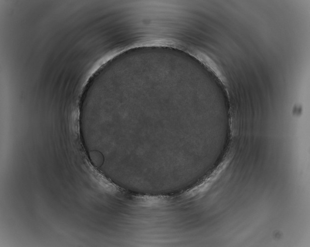 X0000100330781200807031234