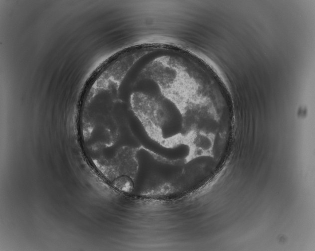 X0000100330783200807031234