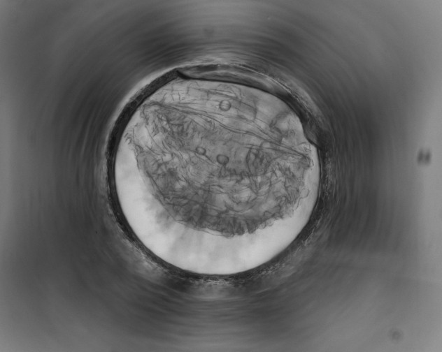 X0000100330784200807031234