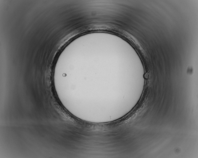 X0000100330786200807031234