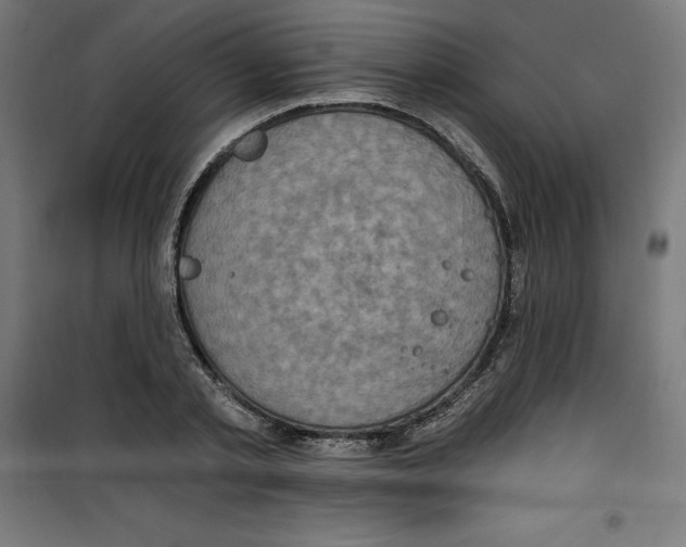 X0000100330789200807031234