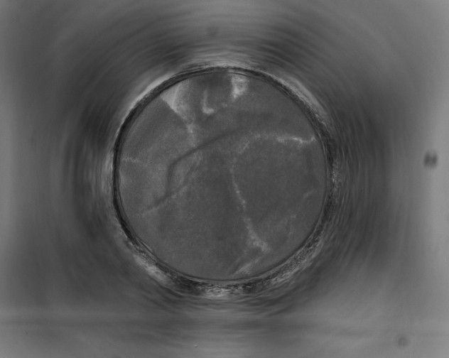 X0000100330790200807031234