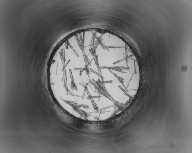 X0000100330792200807031234