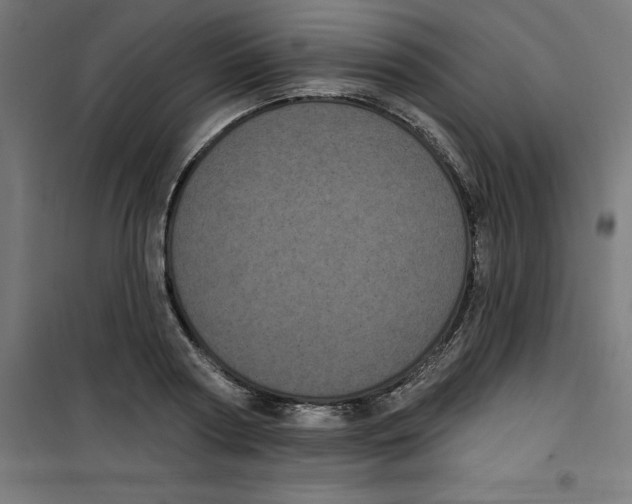 X0000100330794200807031234