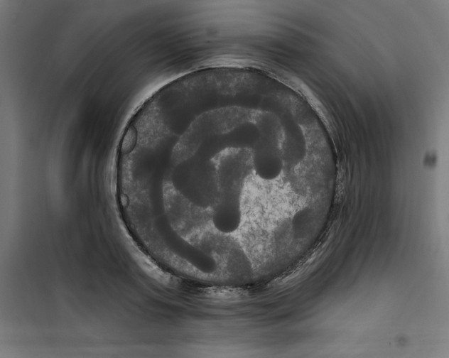 X0000100330795200807031234