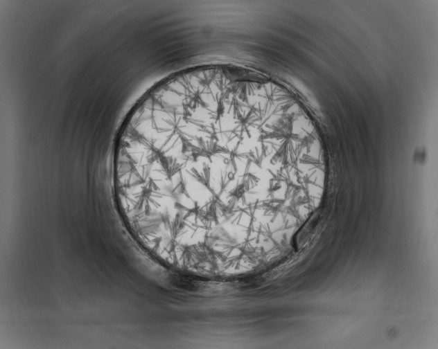 X0000100330796200807031234