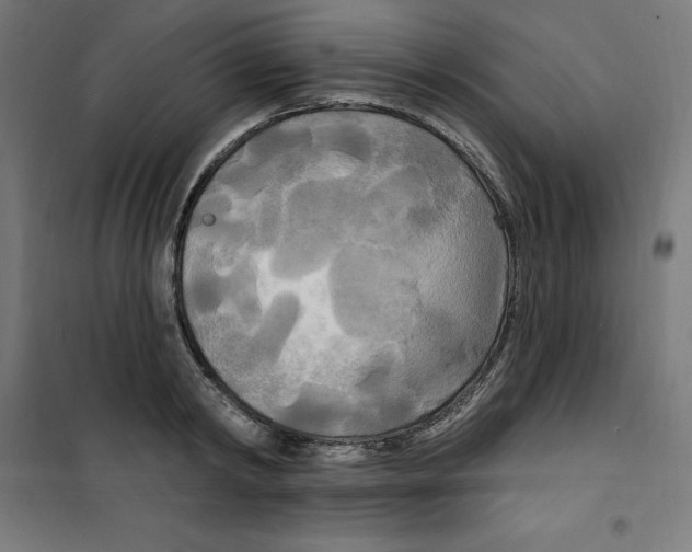 X0000100330798200807031234