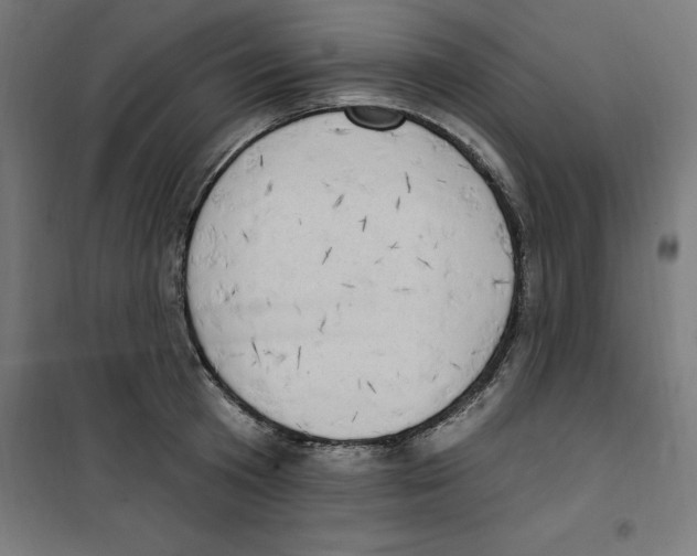 X0000100330801200807031234
