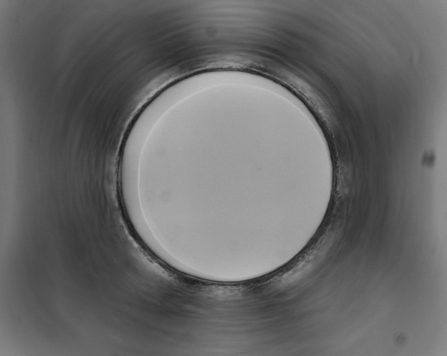 X0000100330802200807031233