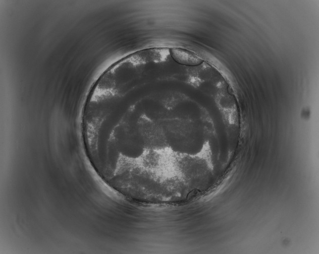 X0000100330803200807031233